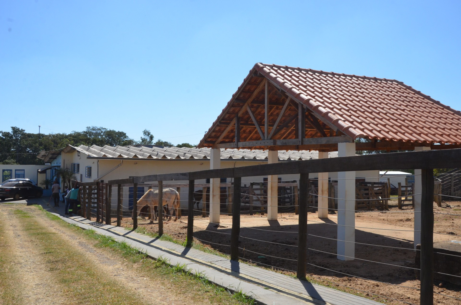 Canil Municipal se torna referência para autoridades da região