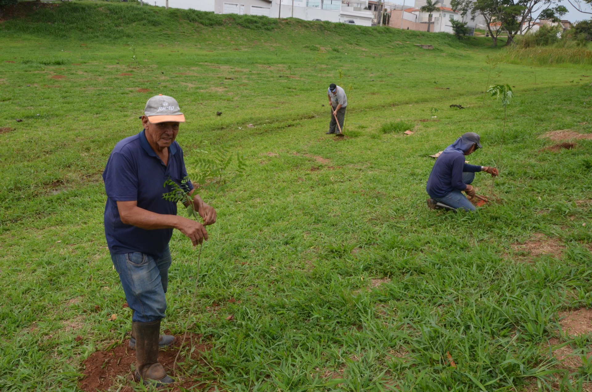 Meio Ambiente continua com plantio de árvores