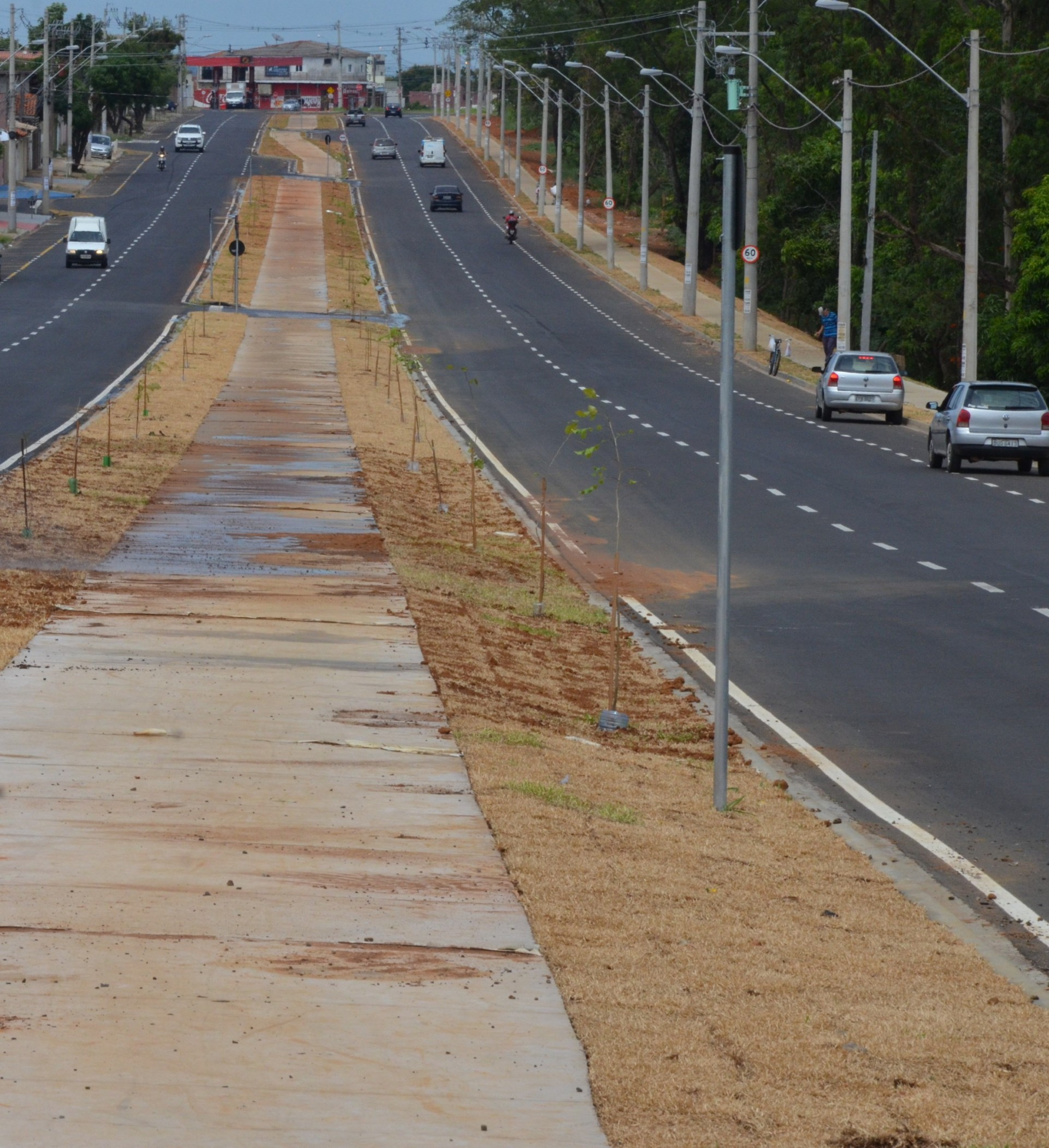 Prefeitura conclui paisagismo na avenida Geralda Rocha Silva