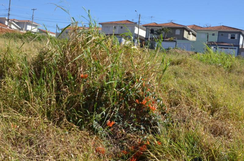 Vigilância notifica proprietários para limpeza de terrenos