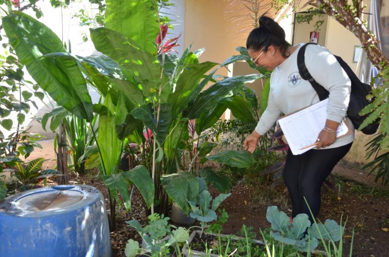 Vigilância mantém agentes nas ações de prevenção à dengue