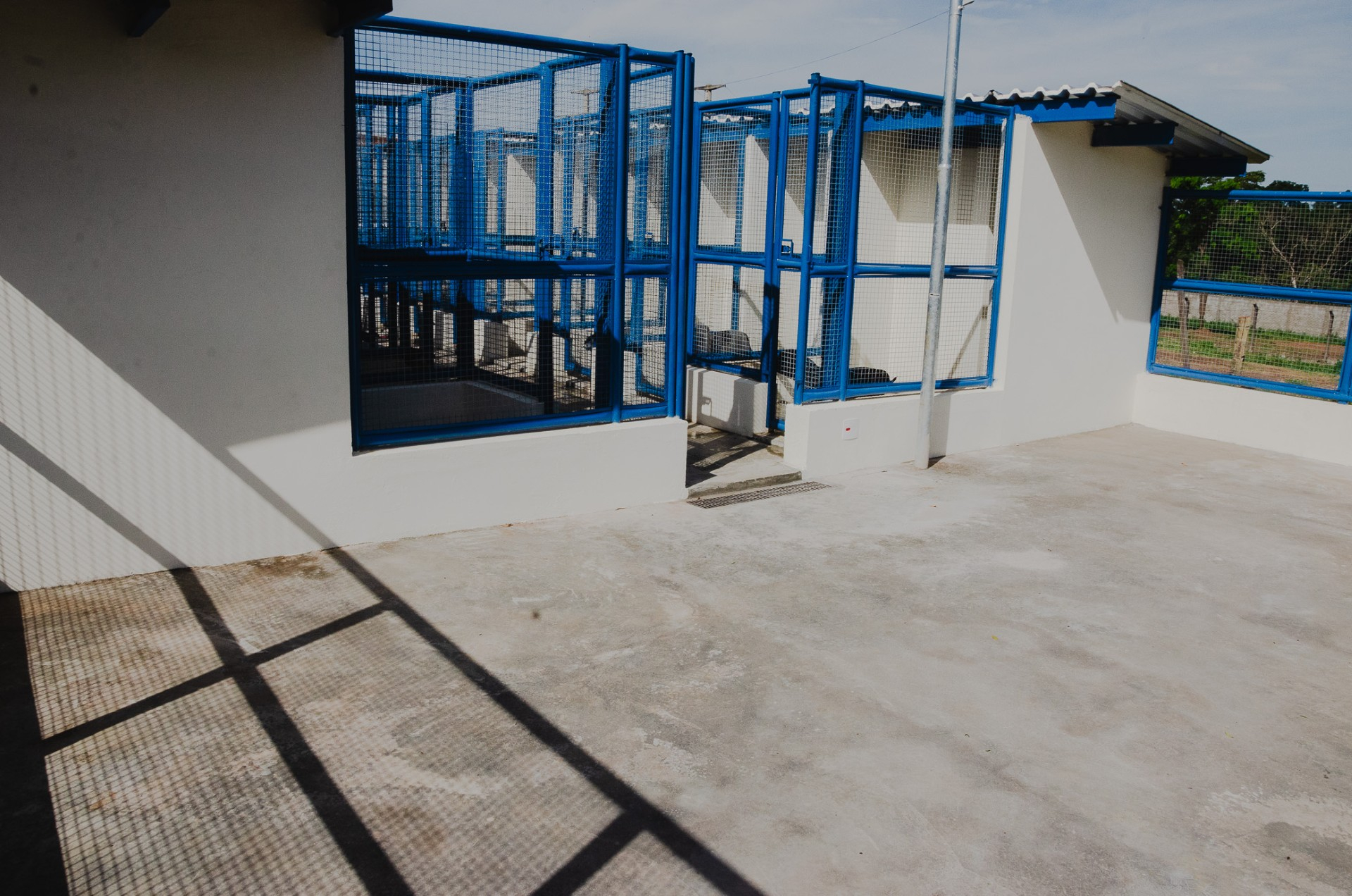 Ampliação e reforma do Canil Municipal serão entregues nesta quarta-feira