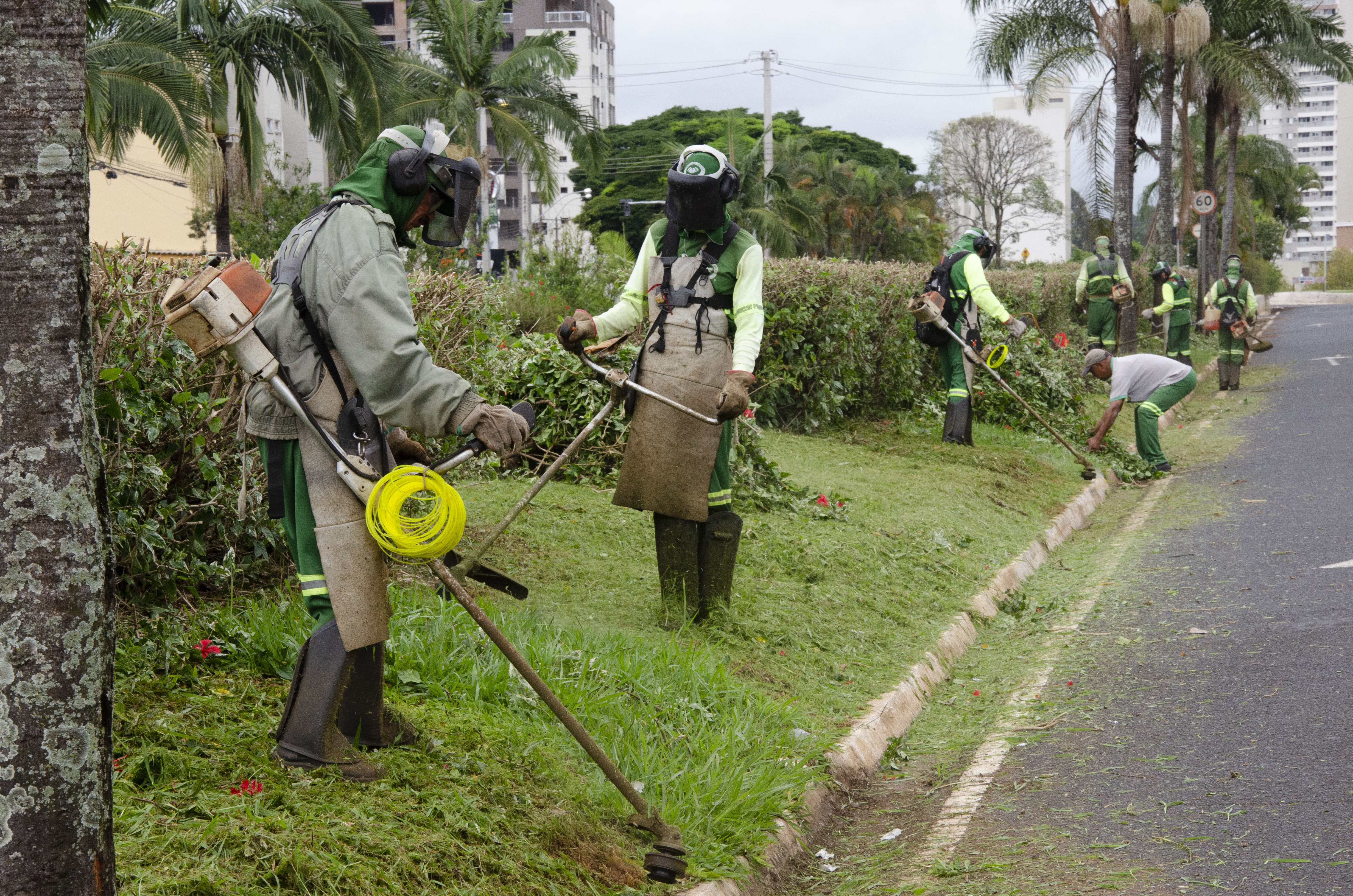 Limpeza são intensificadas em avenidas