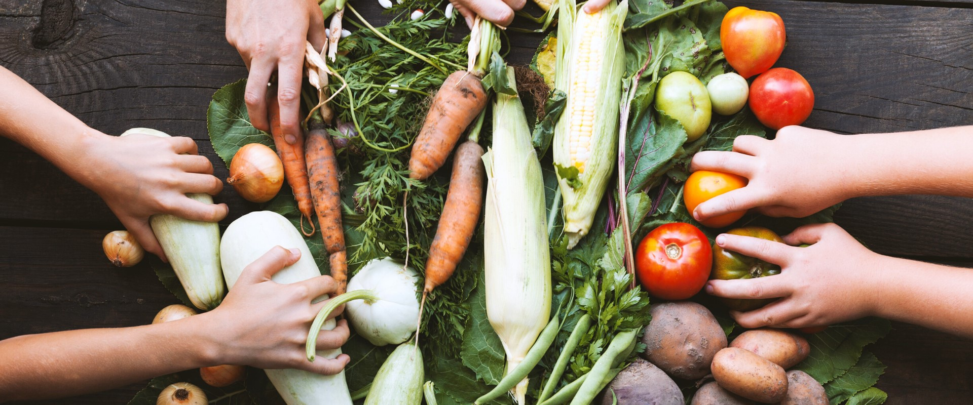 Franca sedia Conferência de Segurança Alimentar