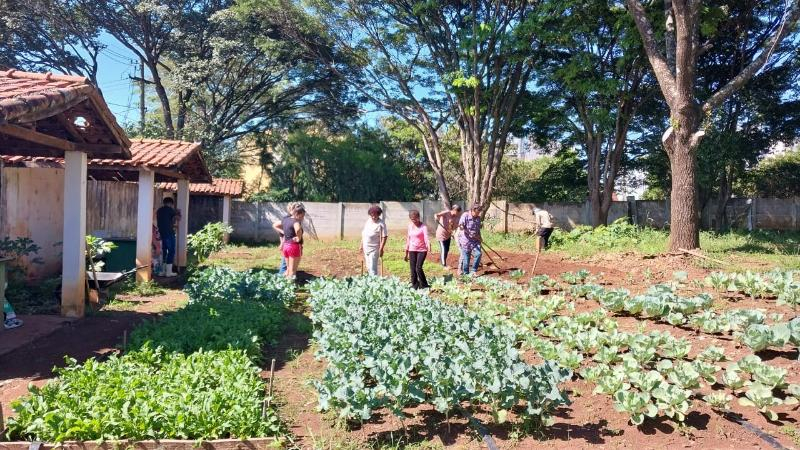 Prefeitura incrementa Projeto de Hortas Comunitárias