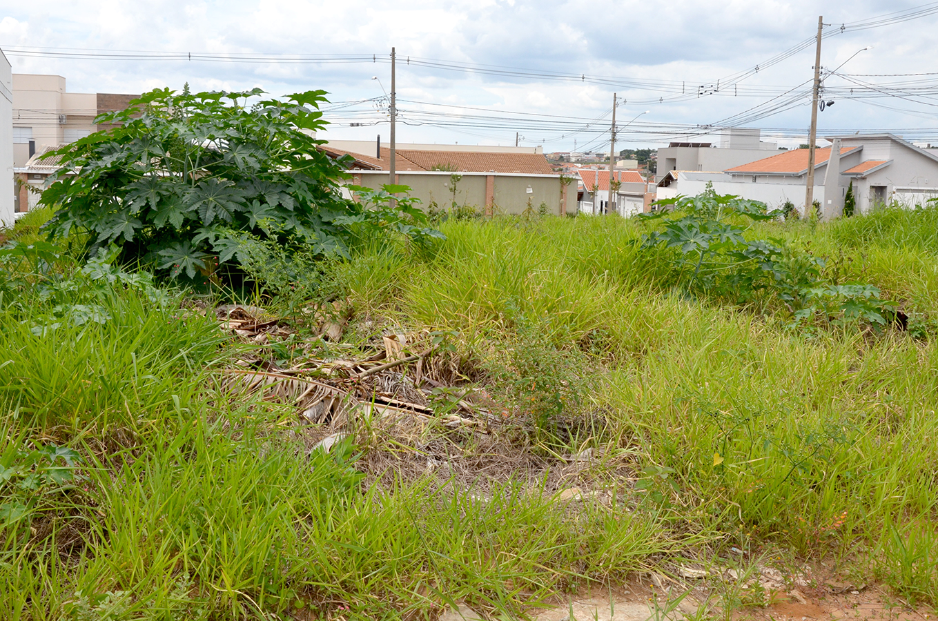 Vigilância Sanitária notifica 63 donos de terrenos para limpeza