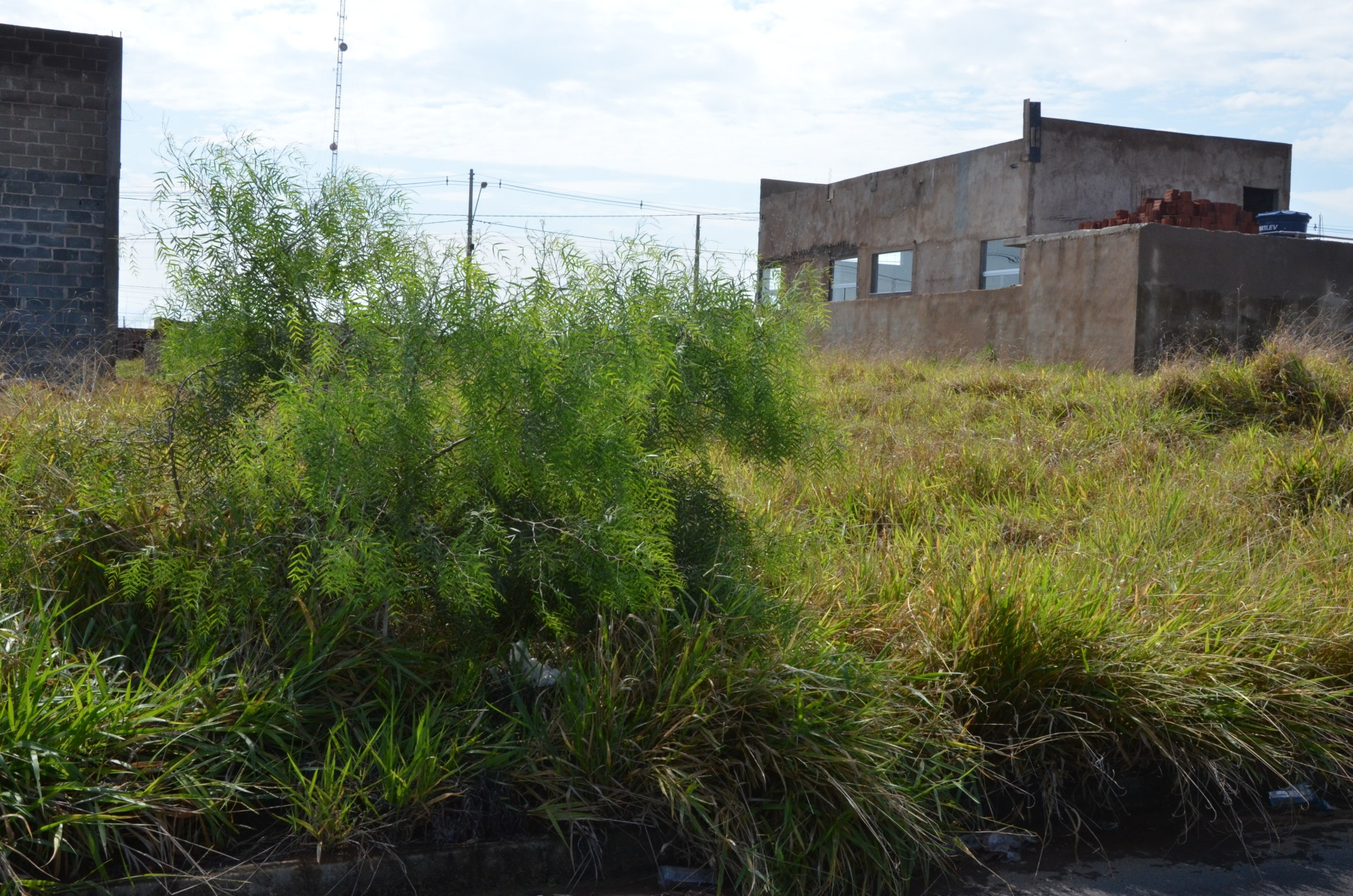 Vigilância Sanitária intima mais de 50 proprietários de terrenos para limpeza