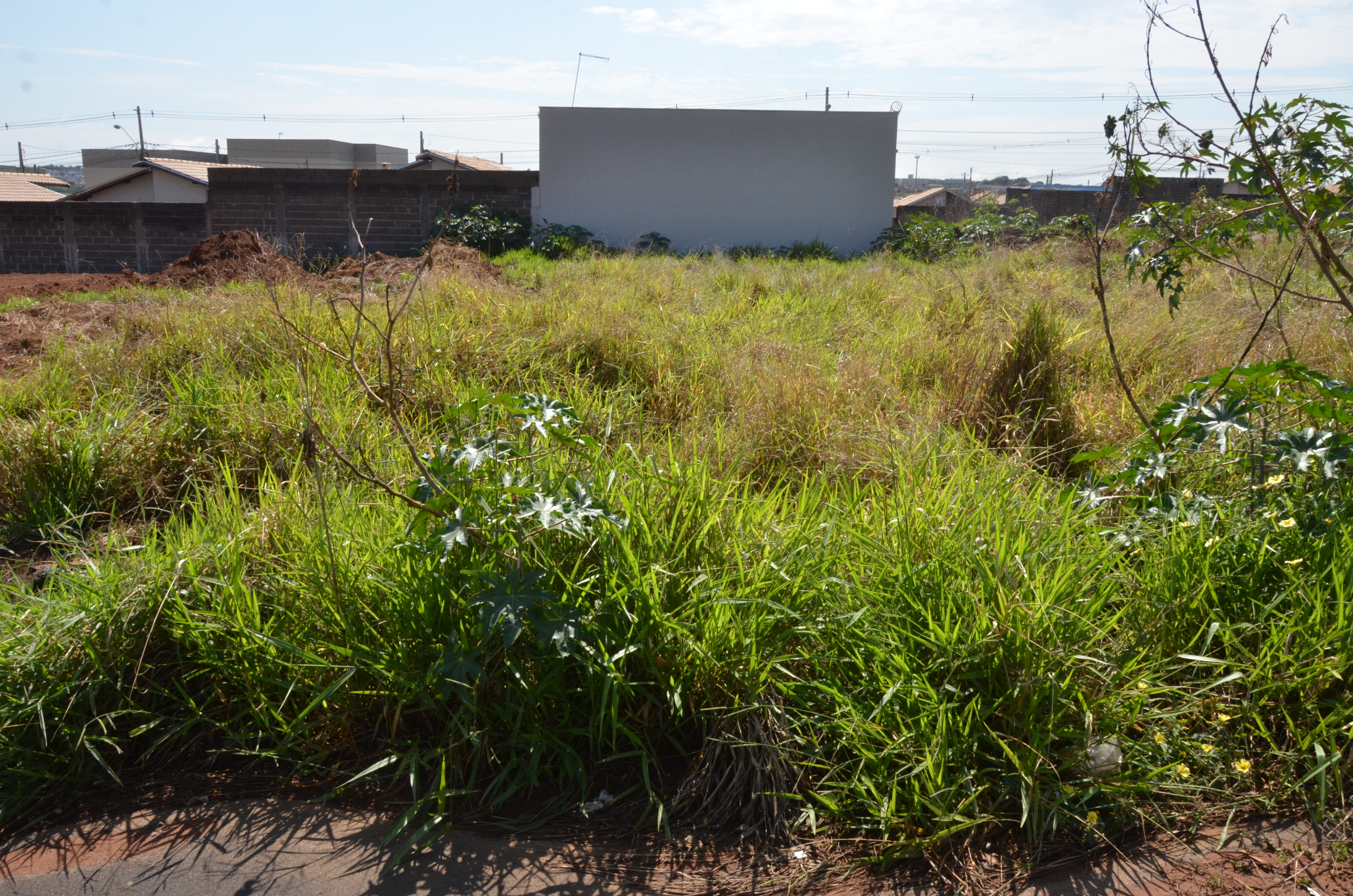 Vigilância Sanitária notifica proprietários de terrenos para limpeza