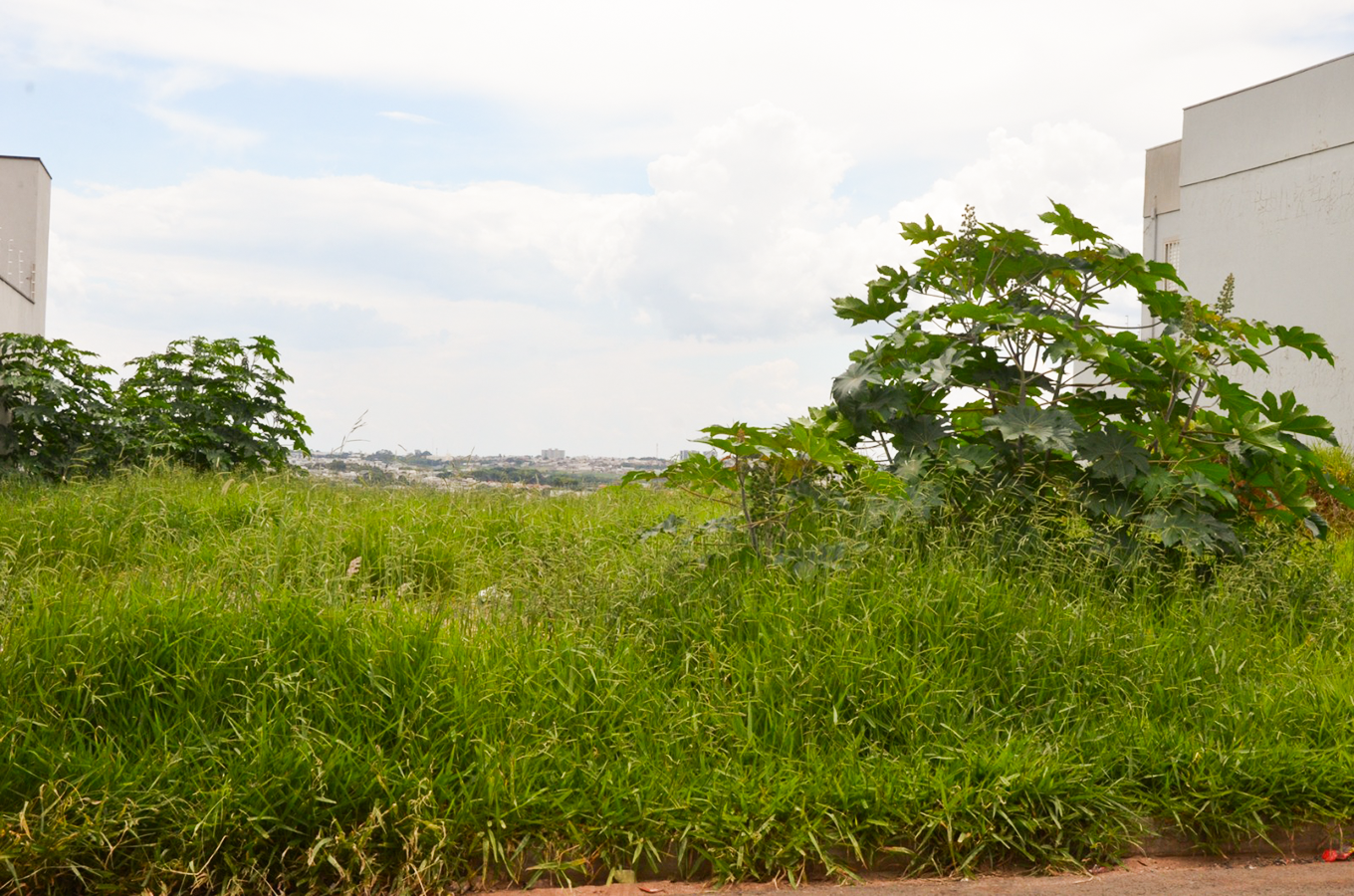 Vigilância notifica proprietários para limpeza de 125 terrenos