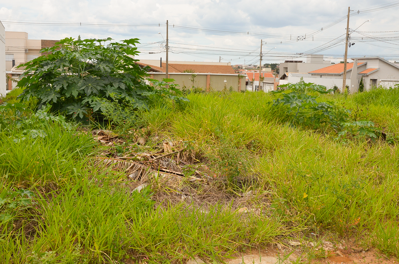 Vigilância intima donos de terrenos de 10 bairros para a limpeza