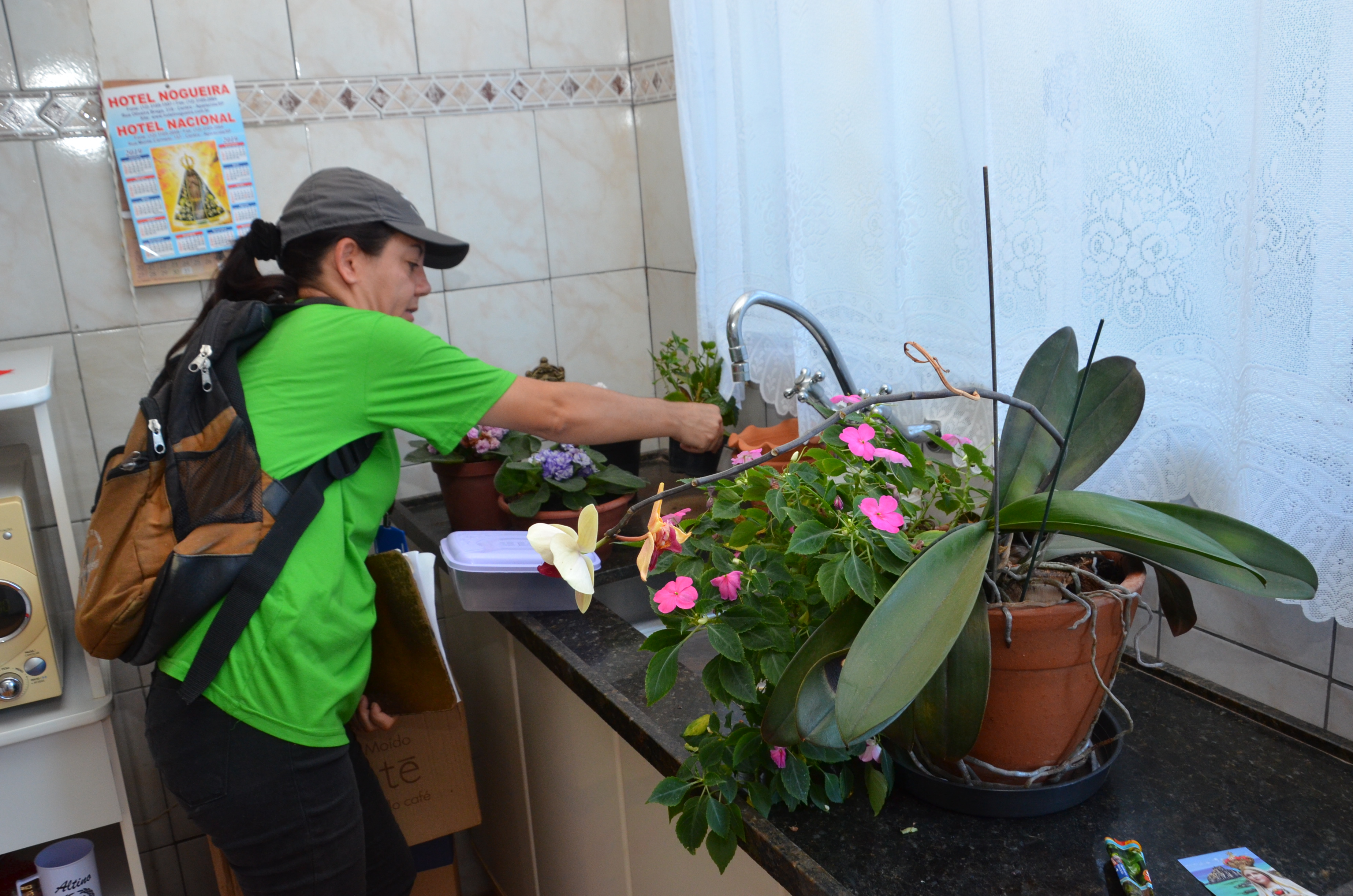 Ações preventivas da dengue nas regiões Leste e Nordeste