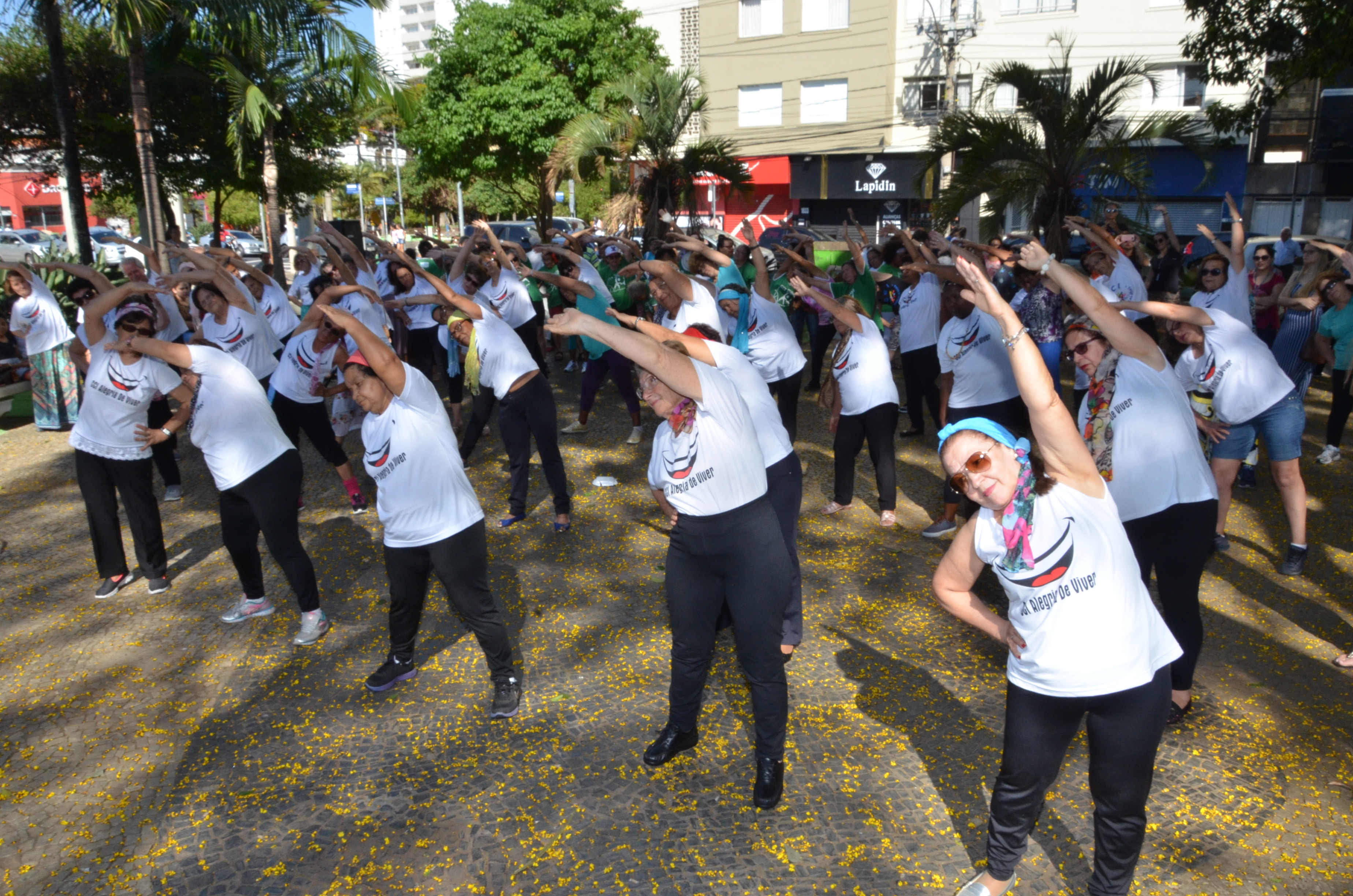 Pilares do Envelhecimento Saudável na Semana do Idoso