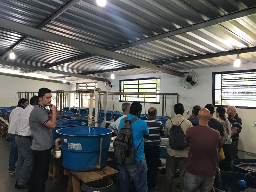 Curso ensina maneiras de criar peixes