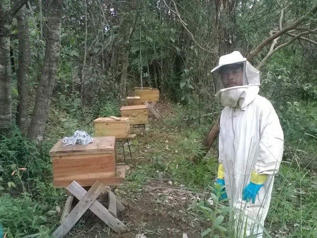 Curso de Apicultura recebe inscrições