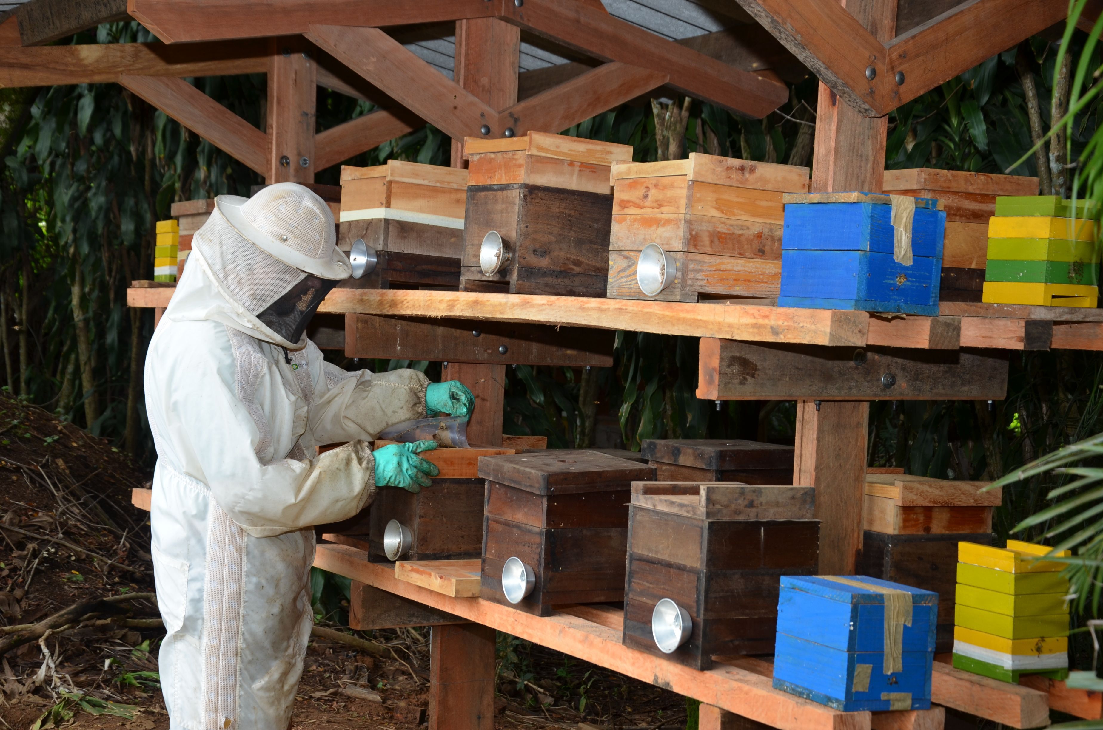 Meliponicultura com últimas vagas para Seminário