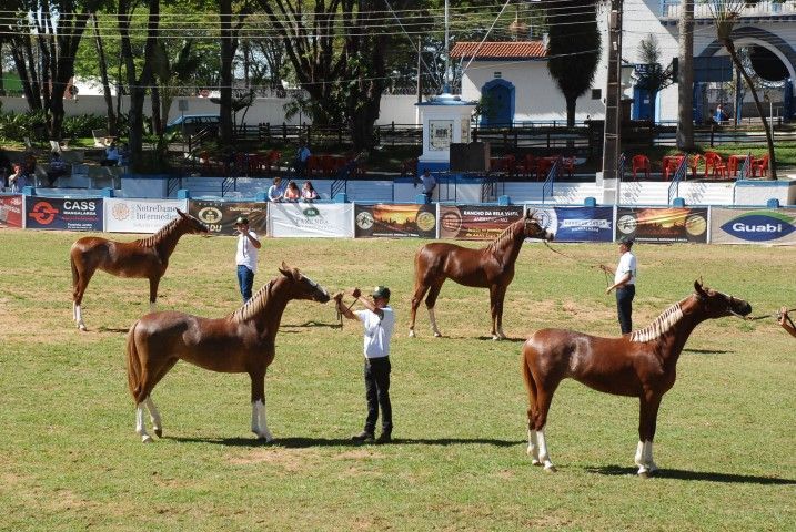 Atrativos da Expoagro no fim de semana e a visita do Secretário da Agricultura
