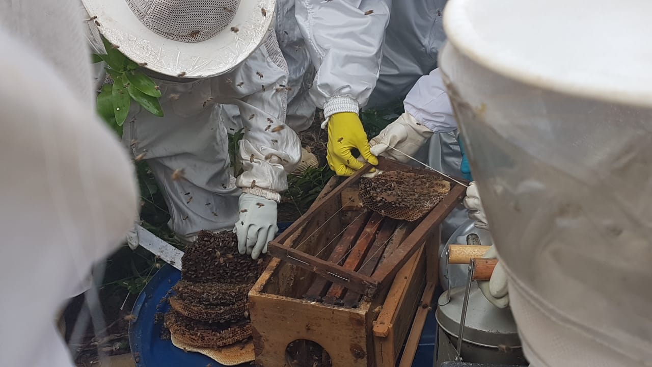 Secretaria de Desenvolvimento segue com o curso de Apicultura