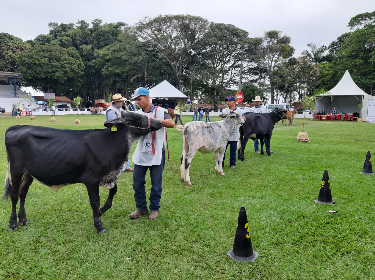 Expoagro: uma feira para expor, vender e ganhar prêmios