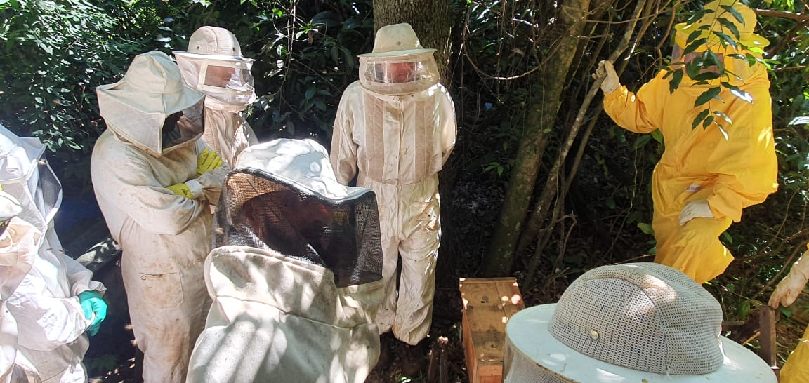 Curso de apicultura é iniciado com primeiro módulo