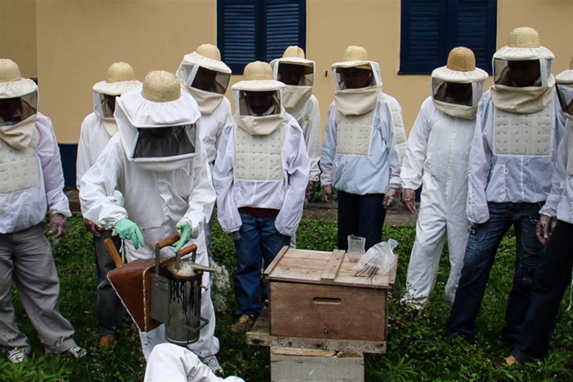 Capacitação de apicultores começa neste sábado