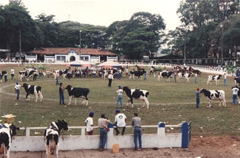 Expoagro tem semana cheia de atrativos