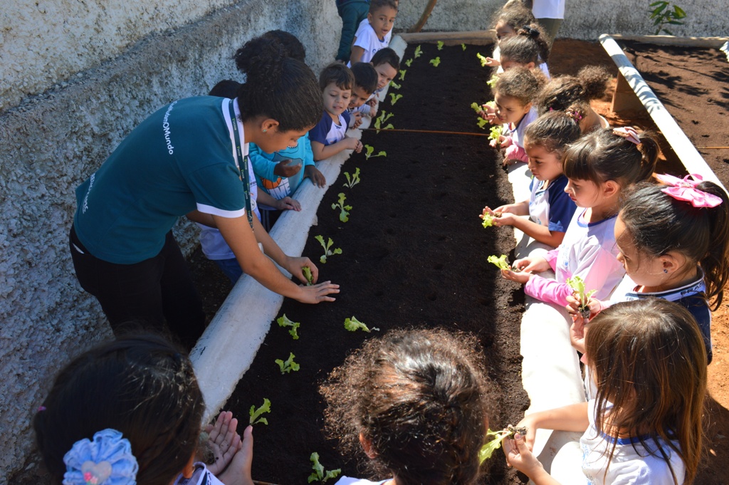 Horta sustentável é iniciativa nas escolas municipais