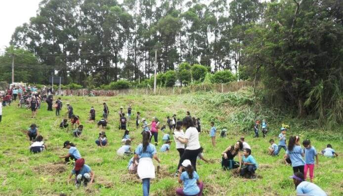 Mais de 1,2 mil alunos plantam mudas no Parque do Trabalhador