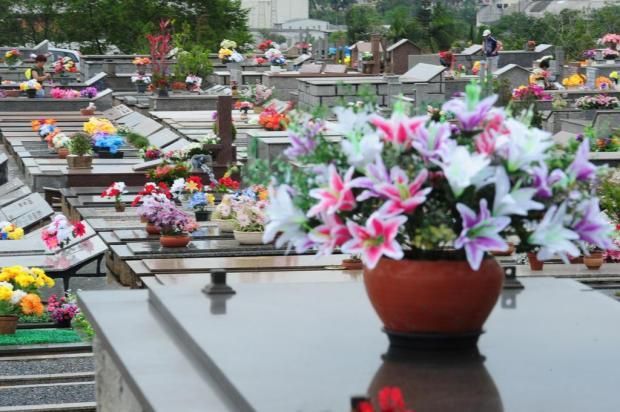 Dia dos Pais: Planejamento recebe propostas para venda de flores