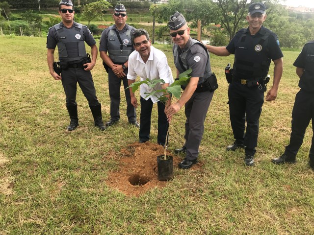 Plantio de árvores marcam homenagem às vítimas do trânsito