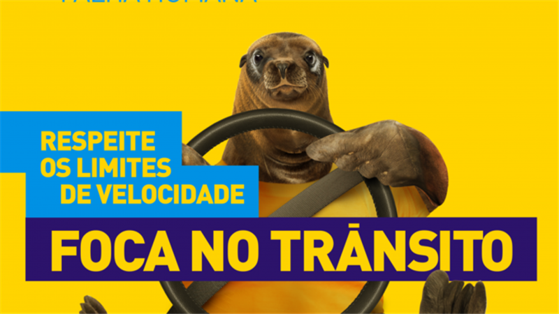 Campanha de Trânsito Maio Amarelo abraça as ruas da cidade