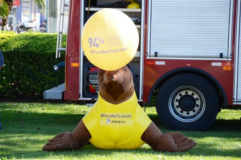 Foca no Trânsito volta às ruas da cidade