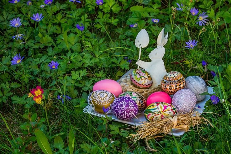 Procon realiza e divulga pequisa de Páscoa