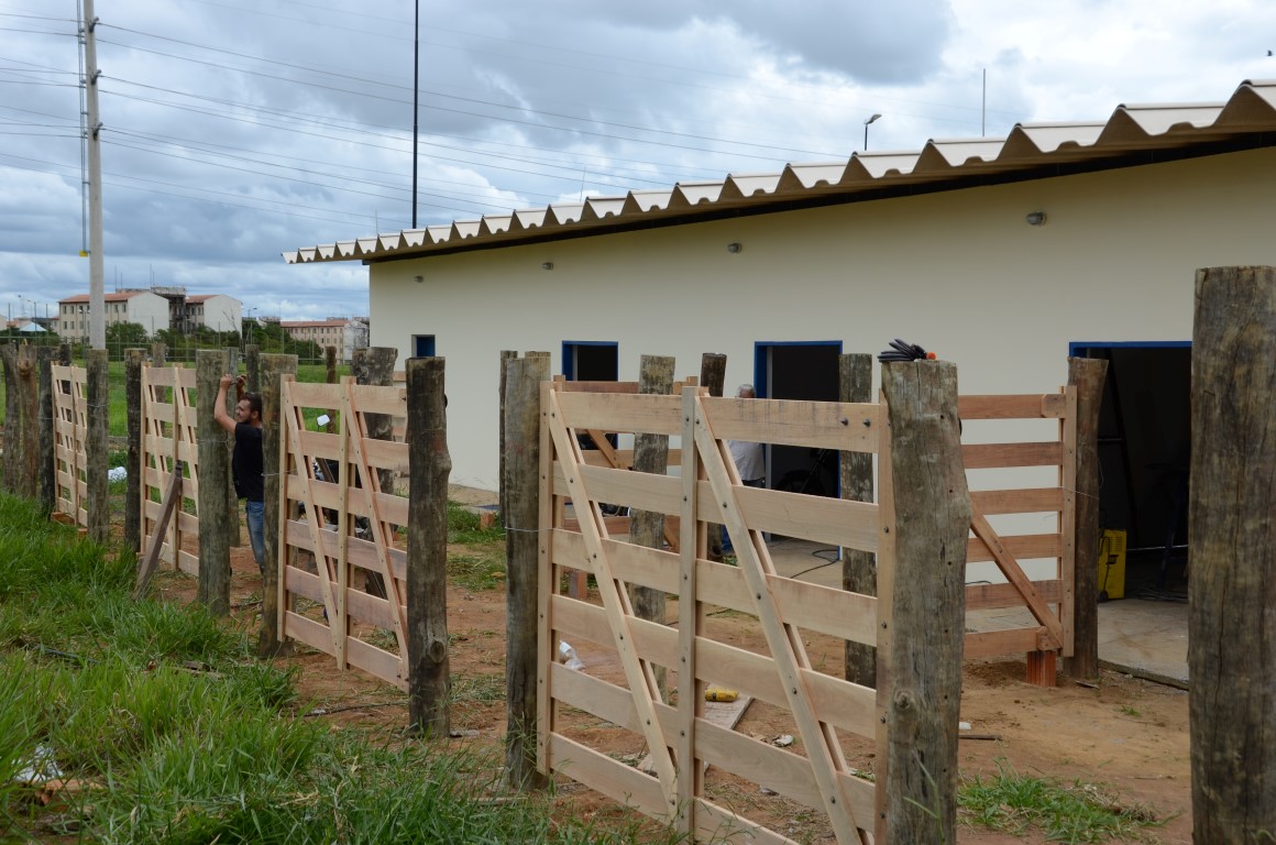 Abertas propostas para captura de animais