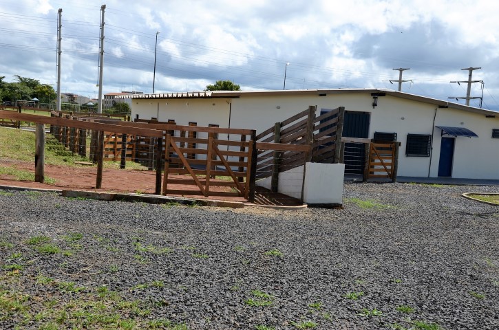 Canil Gatil entra em operação no City Petrópolis