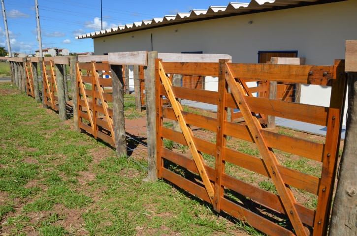 Canil Municipal entra em funcionamento