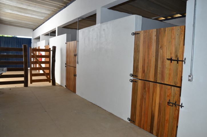 Proteção Animal já está no Canil Municipal