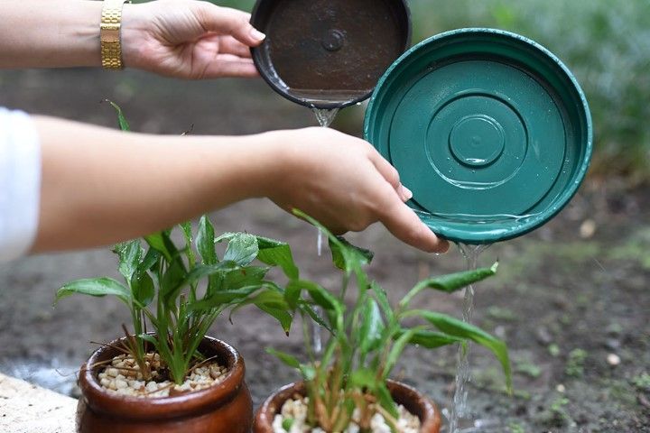 Ações preventivas contra a Dengue acontecem diariamente