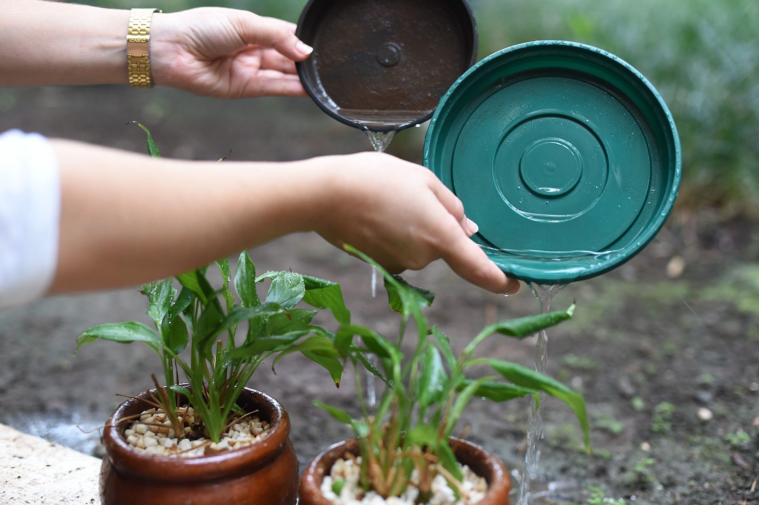 Vigilância intensifica ações de prevenção a dengue