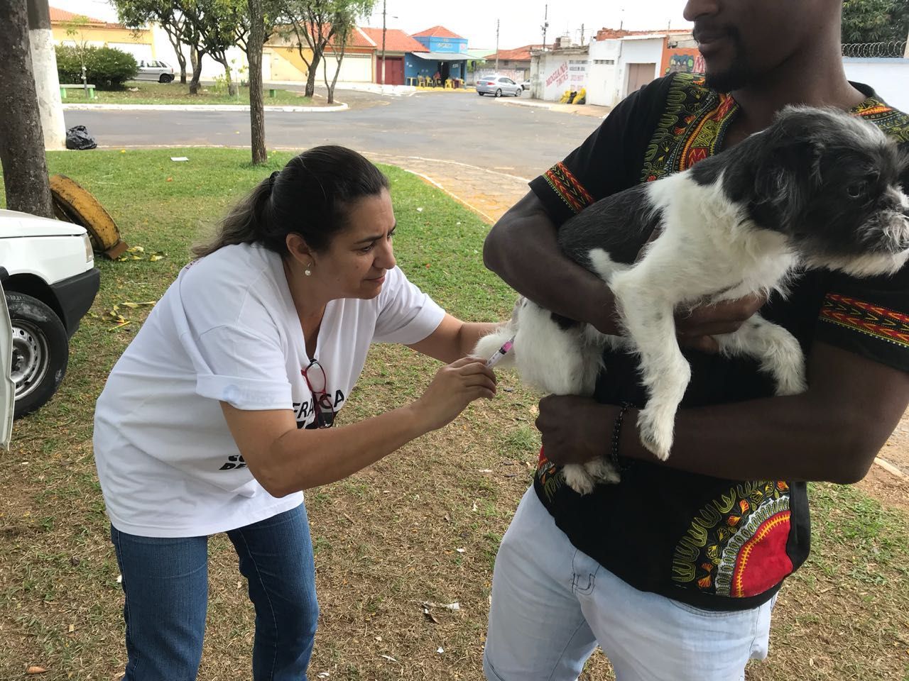 Antirrábica supera 24 mil animais vacinados