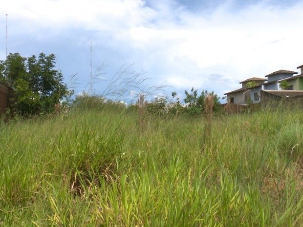 Vigilância notifica proprietários de terrenos sujos