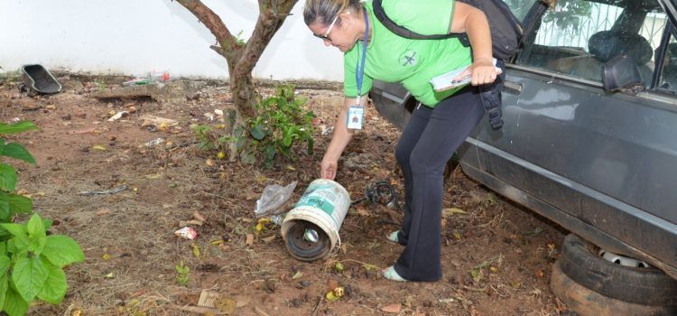 Ações de combate ao mosquito da dengue continuam neste sábado