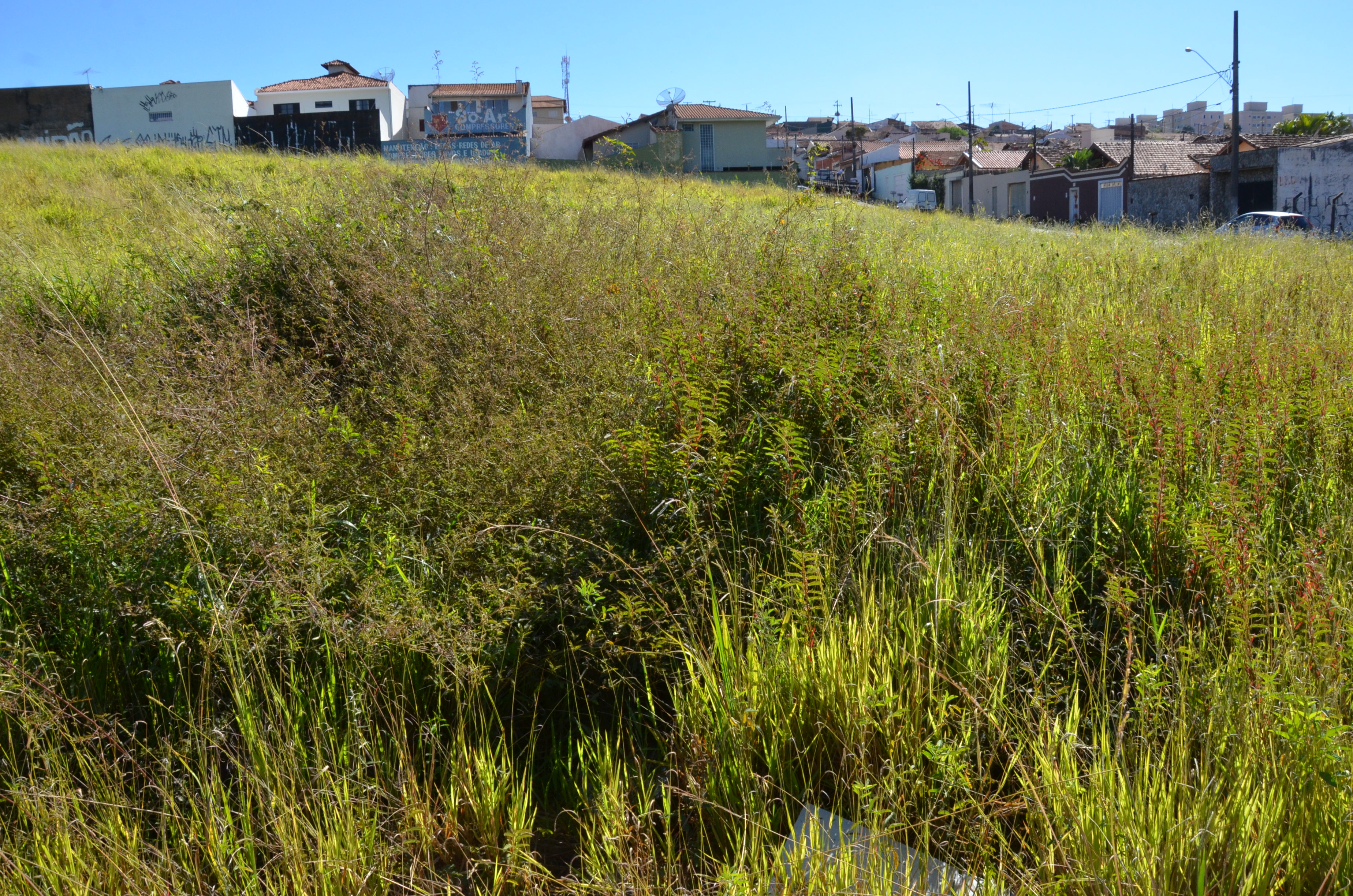 Donos de terrenos baldios são intimados para fazer limpeza
