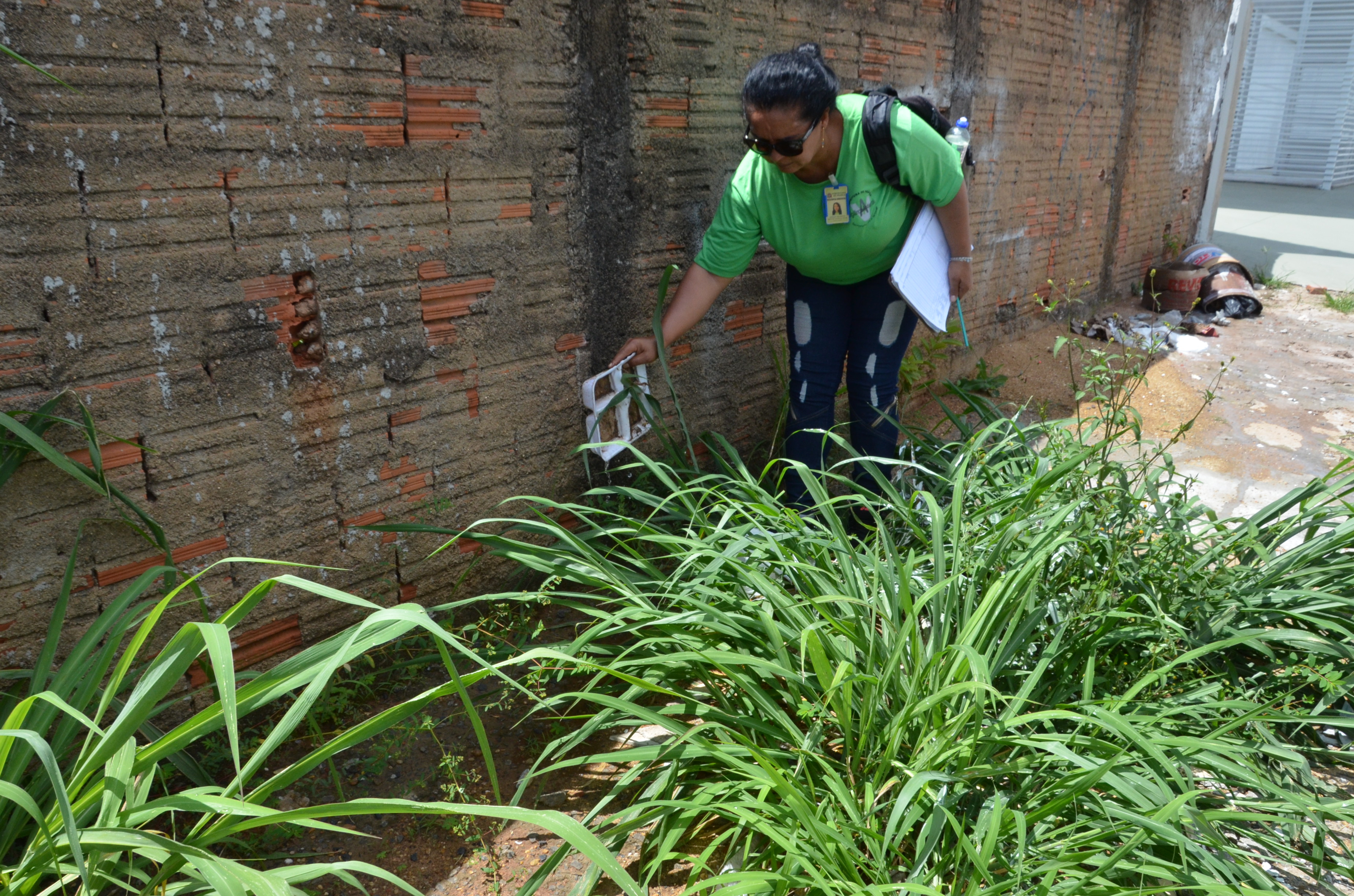 Agentes de Vetores percorrerão região Sul neste sábado