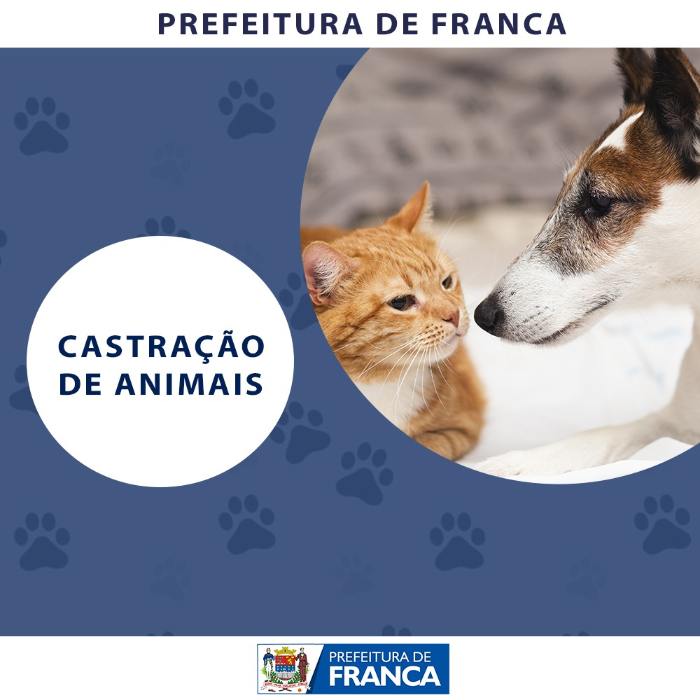 Incentivo a Castração de animais