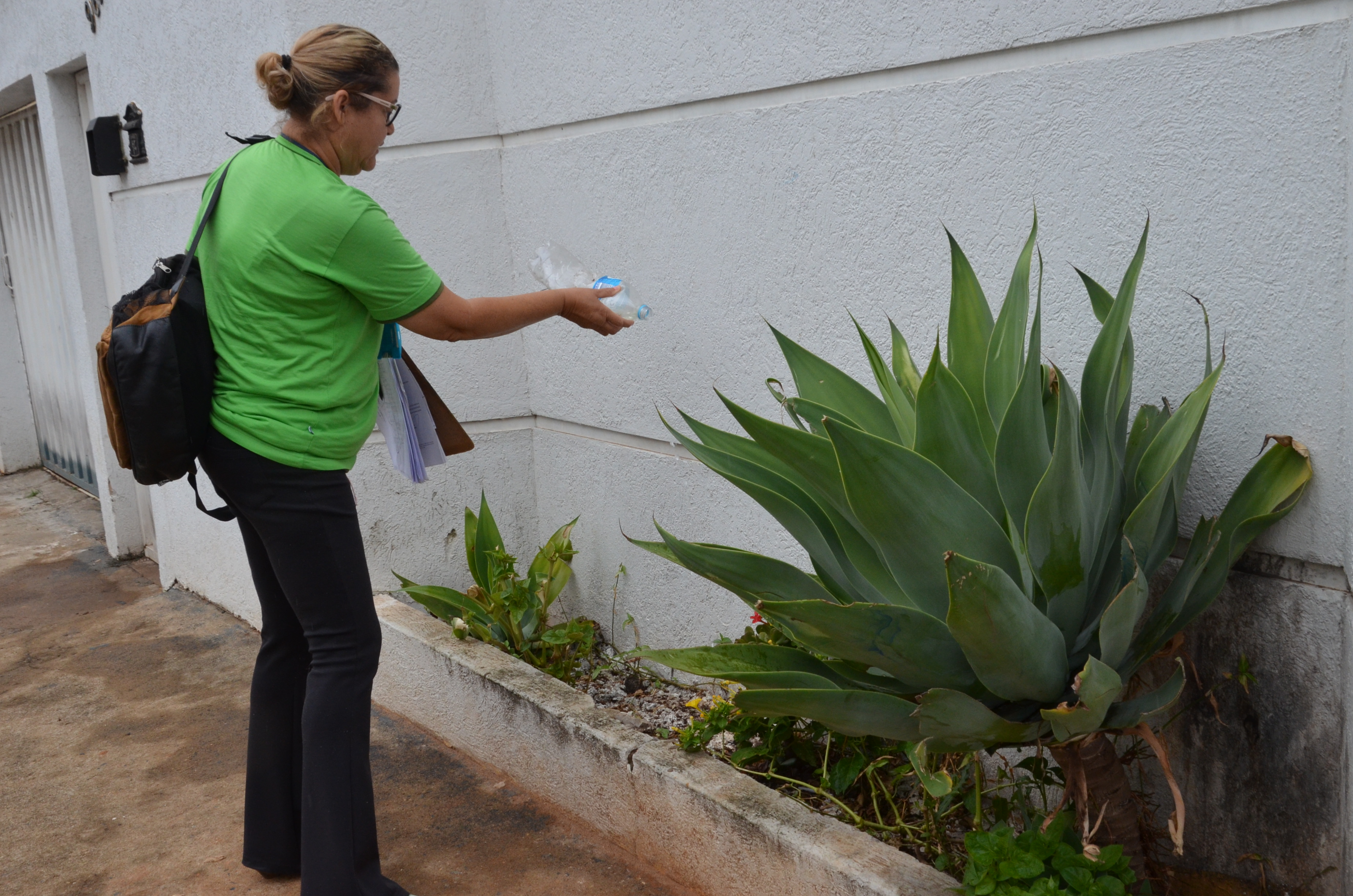 Combate ao mosquito da dengue continua neste sábado