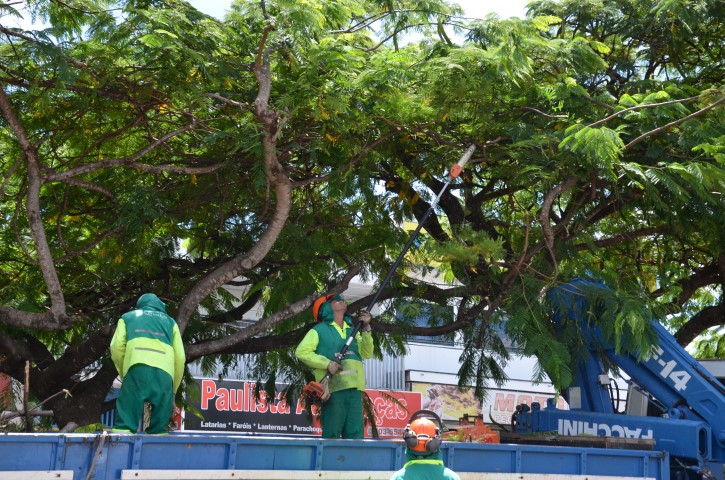 Prefeitura faz manutenção na Av. Orlando Dom Pieri