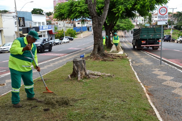 Podas e limpeza são intensificados nas áreas públicas