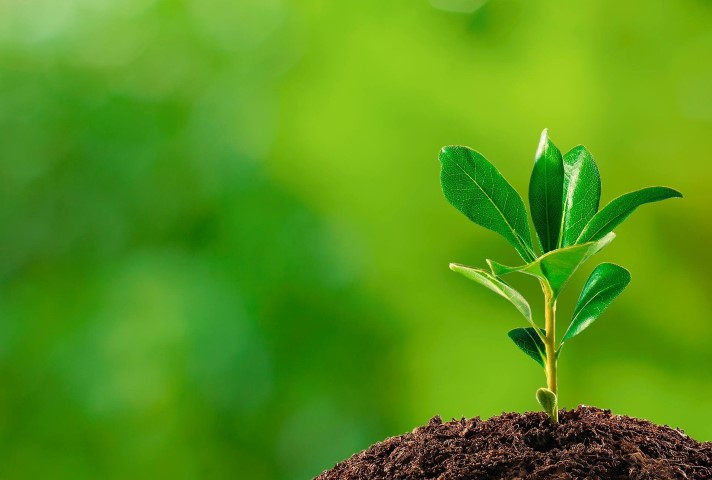 Semana do Meio Ambiente: Desafio do descarte dos resíduos na cidade