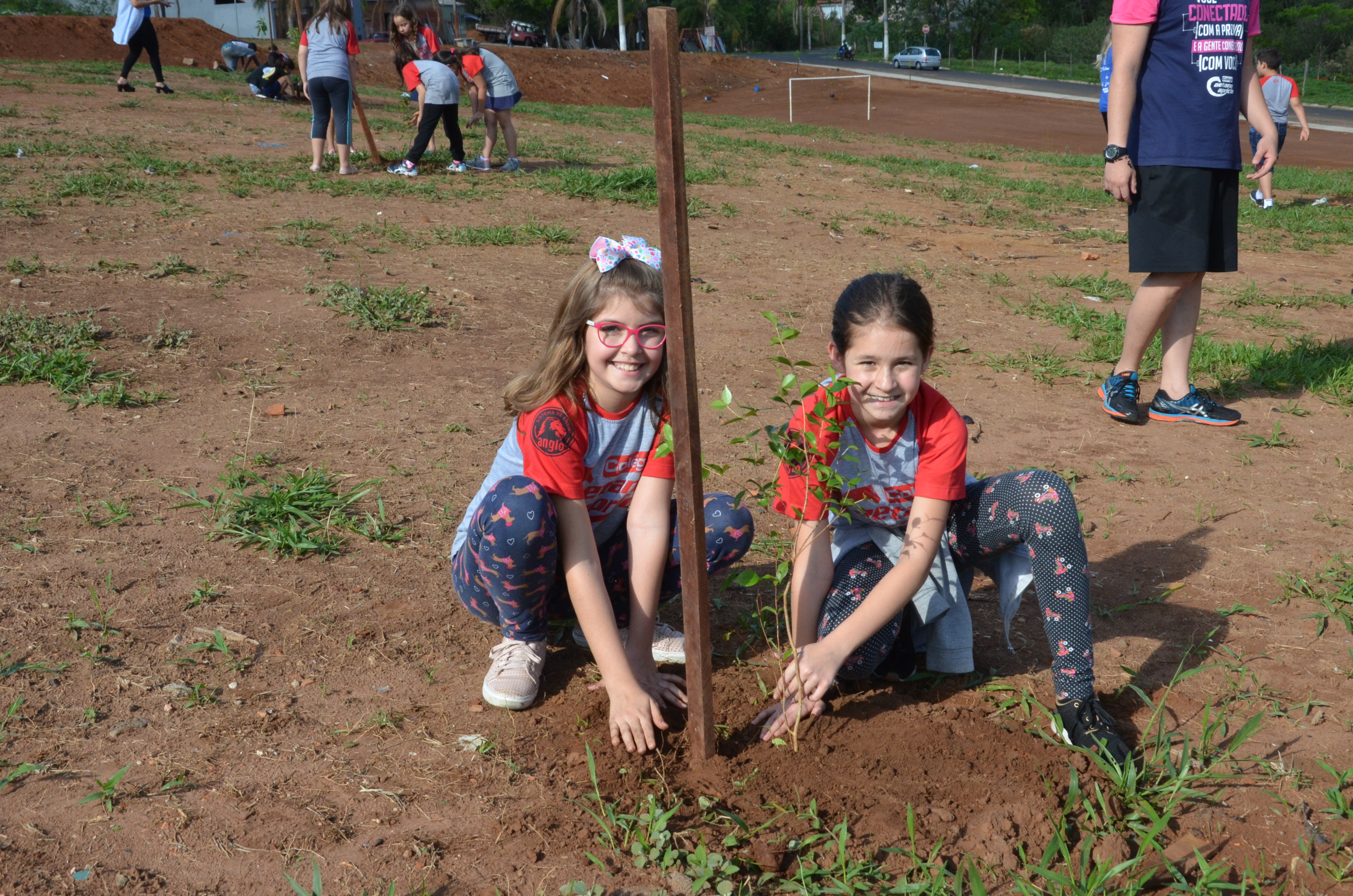 Palestras e plantios marcam Semana Ambiental e Dia da Árvore