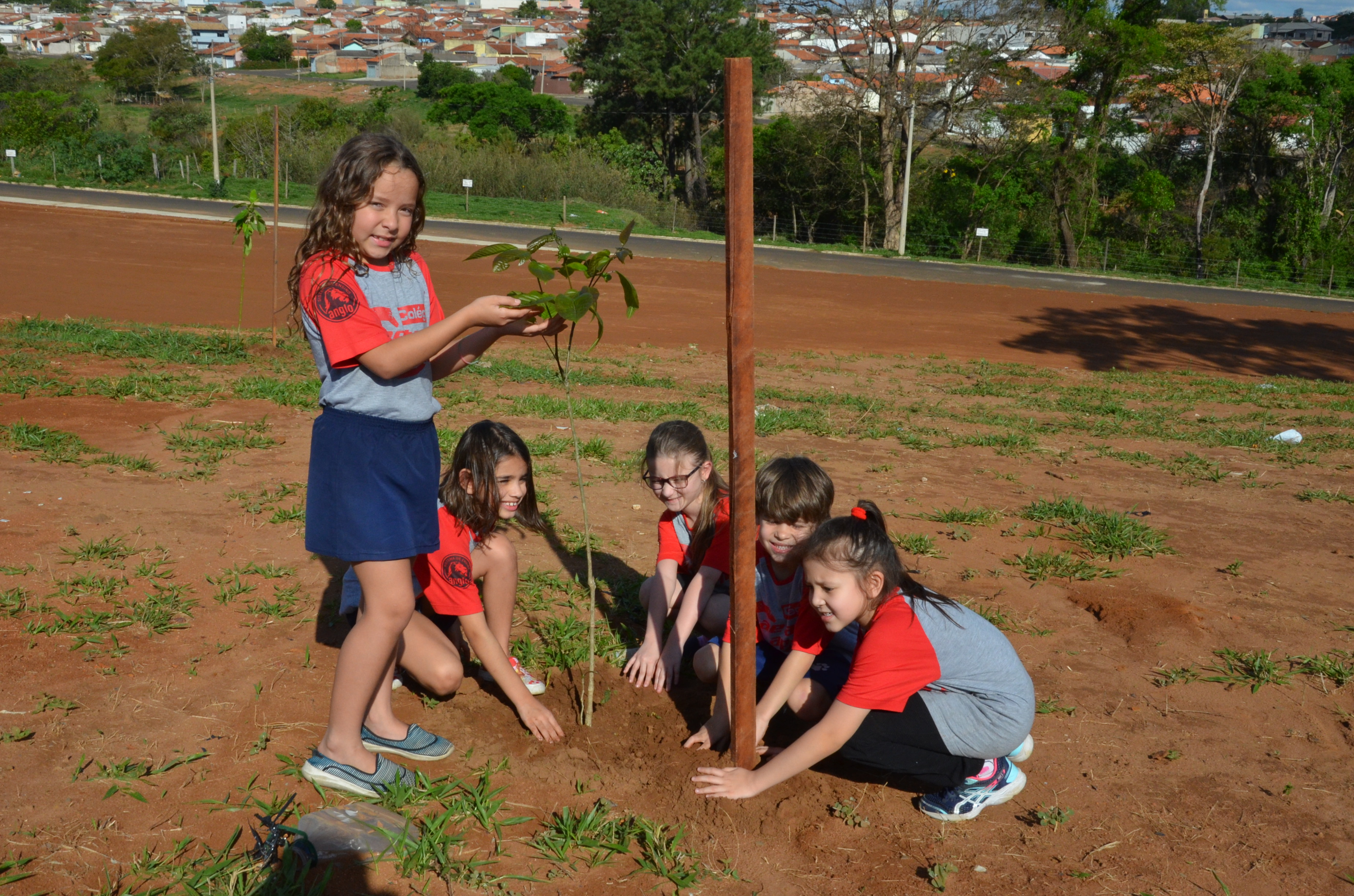 Plantio de árvores em praça do Jardim Luíza